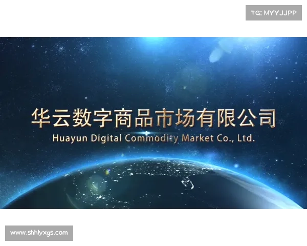 未来网络探索：以蜻蜓点水般的灵动引领数字化时代的创新发展