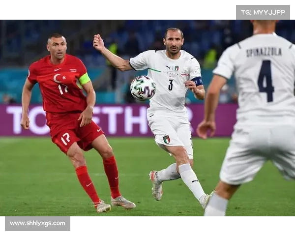 土耳其国家队近期赛事全解析与关键战术走势深度指南